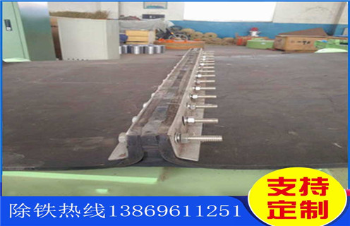 永磁香蕉黄视频入口，青海永磁香蕉黄视频入口距离皮带高度_参数_内部磁块安装方法_青海永磁香蕉黄视频入口距离皮带高度规格型号价格 